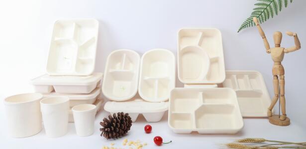 全降解餐盒具有哪些应用特性