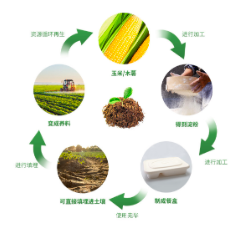 全降解餐盒怎么选择？